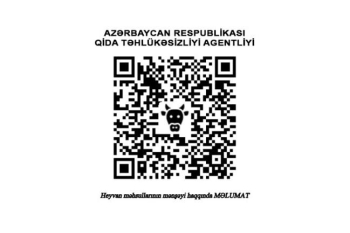 Azercell-in jurnalistlər üçün təşkil etdiyi növbəti ingilis dili kursları - SONA ÇATDI | FED.az