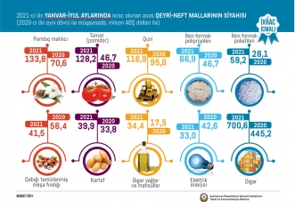 Azərbaycana ən çox pul gətirən - QEYRİ-NEFT MƏHSULLARI AÇLQLANDI - SİYAHI - MƏBLƏĞLƏR | FED.az