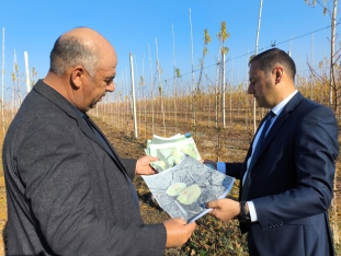 Azərbaycanda ilk dəfə meyvənin dəyərinin azalması üzrə aqrar sığorta ödənişi edilib | FED.az