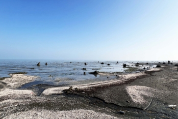 Xəzər dənizi geri çəkilir - Lənkəranda illərdir suyun altında qalan qədim ağac qalıqları üzə çıxdı - FOTOLAR