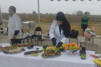 Neftçalada ilk dəfə Balıq Festivalı keçirilib