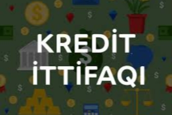 Kredit təşkilatı mənfəətdən - ZƏRƏRƏ KEÇİB - HESABAT