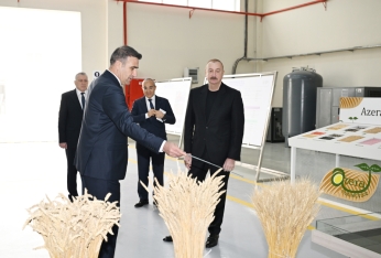 Sabirabad Sənaye Məhəlləsində toxum istehsalı müəssisəsinin fəaliyyəti ilə tanışlıq | FED.az
