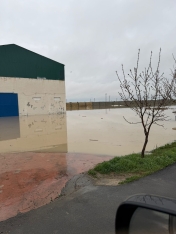 "Sitalçayda acınacaqlı vəziyyət - quşçuluq təsərrüfatları fəaliyyətlərini dayandırmaq üzrədilər" - FOTOLAR | FED.az