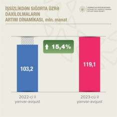 Sosial sığorta haqları üzrə daxilolmalar - ARTIB | FED.az