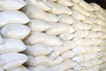 Yeni ildə unun ilk topdansatış qiymətləri açıqlandı – QİYMƏTLƏR, SİYAHI