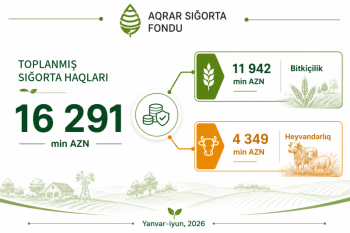 Fermerlər 16,3 milyon manat ödəyib, 482,4 milyon manatlıq təminat alıblar –[red] AQRAR SIĞORTA [/red] | FED.az