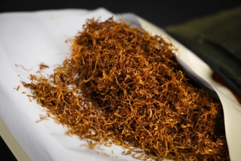 Azərbaycanı tütünlə təmin edən - RAYONLAR - SİYAHI