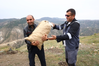 “AzerGold” tərəfindən icra edilən “Daşkəsən rayonunda kartofçuluq təsərrüfatının inkişafına dəstək” layihəsi uğurla sona çatıb | FED.az