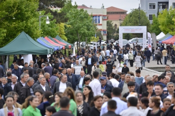 Şəmkirdə