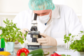 Maliyyə naziri: "Gələn il kənd təsərrüfatına ayrılacaq vəsaitin 42 %-i ərzaq təhlükəsizliyi üçündür"