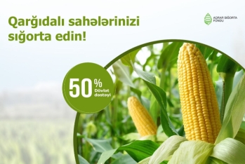 Qarğıdalının əkin sahələrinin sığortası başlanıb