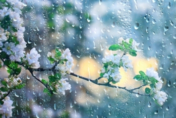 Bəzi yerlərdə yağış yağır - FAKTİKİ HAVA