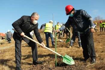 На месторождении «Човдар» ЗАО “AzerGold” состоялась акция озеленения | FED.az