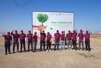Сотрудники Kapital Bank приняли участие в акции по посадке деревьев