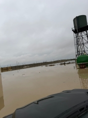 "Sitalçayda acınacaqlı vəziyyət - quşçuluq təsərrüfatları fəaliyyətlərini dayandırmaq üzrədilər" - FOTOLAR | FED.az