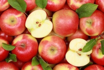 Alma ixracında vəziyyət bir az da yaxşılaşıb - GƏLİRLƏRDƏ 19% ARTIM