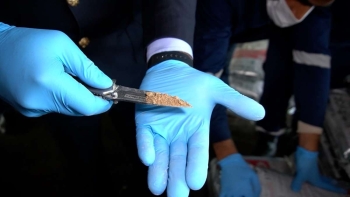 İrandan gətirilən «kafel yapışdıran»dan - 90 milyon dollarlıq heroin tapıldı | FED.az