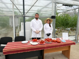 Hibrid avto ustası, aşbaz, parnik işçisi və …məktəbdə otel - [red]Peşə təhsili əmək bazarına yeni qapı açıb –REPORTAJ[/red] | FED.az