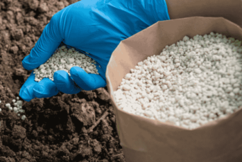 Xaricdən gübrə alışı kəskin azalıb - İDXAL QİYMƏTİ İSƏ 1 MANATI ÖTÜB