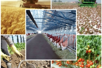 Gələn ilin dövlət büdcəsində kənd təsərrüfatı xərclərinə 1,2 milyard manat ayrılacaq