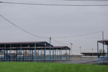 AQTA: Bərdə heyvan bazarı yaxın günlərdə açılacaq | FED.az