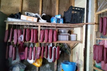 Bakıda satılan dana əti basdırmasında at DNT-si çıxdı