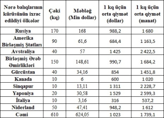 Azərbaycan qara kürünü xaricə 2600 manata satırmış - ÖLKƏLƏR, QİYMƏTLƏR -  SİYAHI | FED.az
