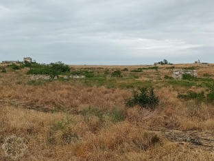 Qaraxanbəyli kəndində ilkin mərhələdə 404 fərdi ev inşa olunacaq | FED.az