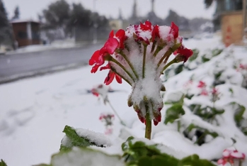 Bəzi rayonlara yağış - dağlıq ərazilərə qar yağıb 