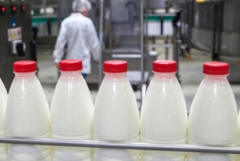 Azərbaycanın "Atena" və "Milla Dairy" şirkətləri Özbəkistanda süd məhsulları istehsal edəcəklər