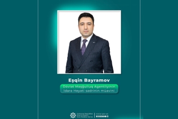 Dövlət Məşğulluq Agentliyinə yeni sədr müavini təyin edilib