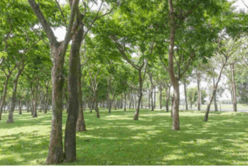 Bu şirkətin binaları sökülür: Yerində yeni park salınacaq
