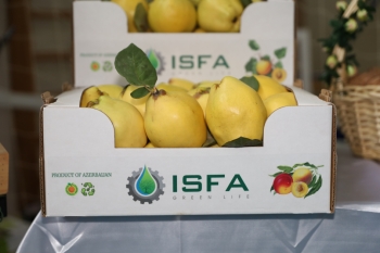 Qusarda Aqrar Biznes Festivalı və toxum sərgi-satış yarmarkası keçirilib - FOTOLAR | FED.az