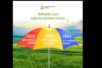 Ötən il əkin sahələrinə 577 milyon manat sığorta təminatı verilib