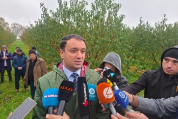 Nektarin və badam bağlarına dəymiş zərər üzrə təqribən 1 milyon manat sığorta ödənişi edilib