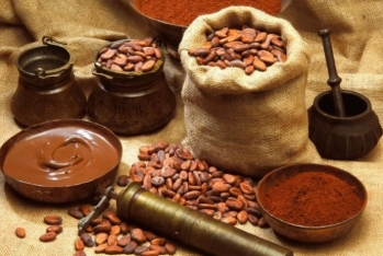 Azərbaycan kakao - İdxalını Artırıb