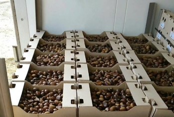 Şabalıd generala baha başa gəldi... - Lüks maşınları da əlindən çıxdı