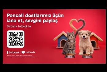 Aкция поддержки бездомных животных «Pəncəli Ürəklər» успешно продолжается