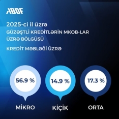 Güzəştli kreditlərdən hansı sahibkarların daha çox yararlandığı açıqlandı | FED.az