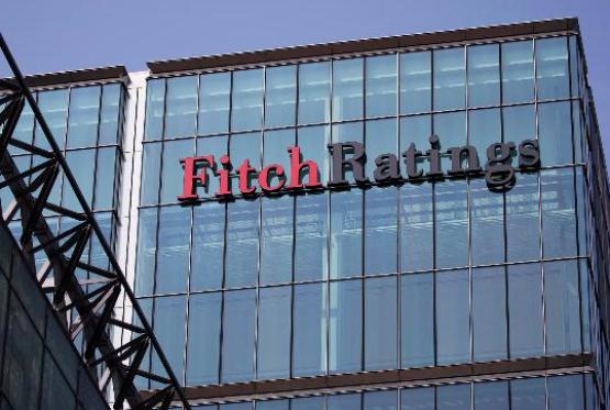 Fitch: Решение ОПЕК носит символический характер