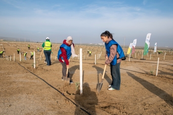 SOCAR Midstream ağacəkmə aksiyası keçirib - FOTOLAR | FED.az