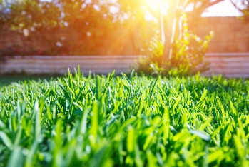 Aqrar sığortadada ödənişlər 60% artıb