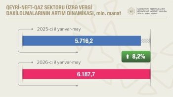 Qeyri-neft-qaz sektorundan vergi daxilolmaları 8,2 faiz artıb | FED.az