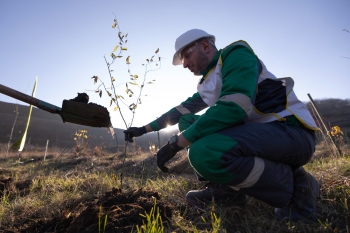 “AzerGold” QSC tərəfindən “Zəfər Günü” münasibətilə Göygöl və Daşkəsən rayonlarında ağacəkmə aksiyaları təşkil edilib | FED.az