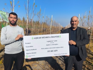 Azərbaycanda ilk dəfə meyvənin dəyərinin azalması üzrə aqrar sığorta ödənişi edilib | FED.az
