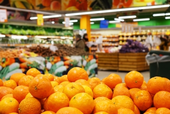 Rusiyada bu il mandarin baha olacaq: Təxminən 3 dollar - MANDARİN ƏKƏNLƏRƏ YAXŞI XƏBƏR