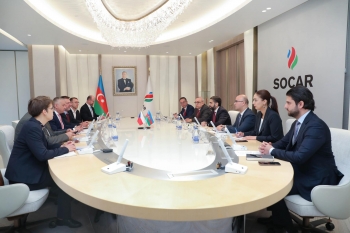 SOCAR və CEZ-in potensial əməkdaşlıq imkanları nəzərdən keçirilib - FOTOLAR | FED.az