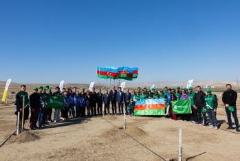 "Rabitəbank" ekoloji məsuliyyət strategiyasi çərçivəsində - AĞACƏKMƏ AKSİYASI KEÇİRDİ