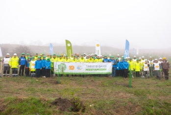 Daşkəsəndə silsilə ağacəkmə aksiyaları keçirilib - FOTOLAR